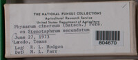 Image Associated With the Occurence